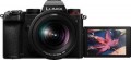 Panasonic - LUMIX S5II Mirrorless Full Frame Camera with 20-60mm F3.5-5.6 L Mount Lens - Black--6530184