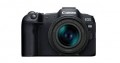 Canon - EOS R8 4K Video Mirrorless Camera with RF24-50mm f/4.5-6.3 IS STM Lens - Black